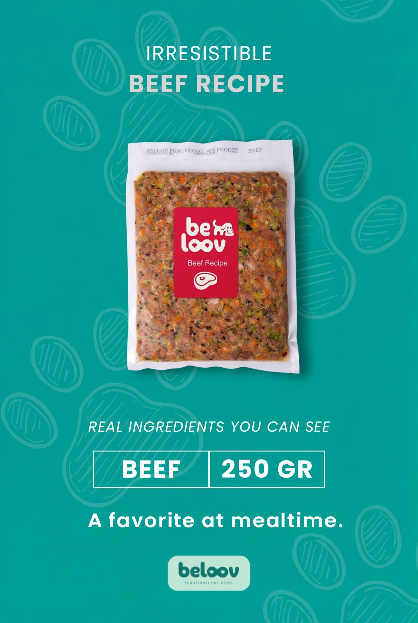 Beef Recipe
