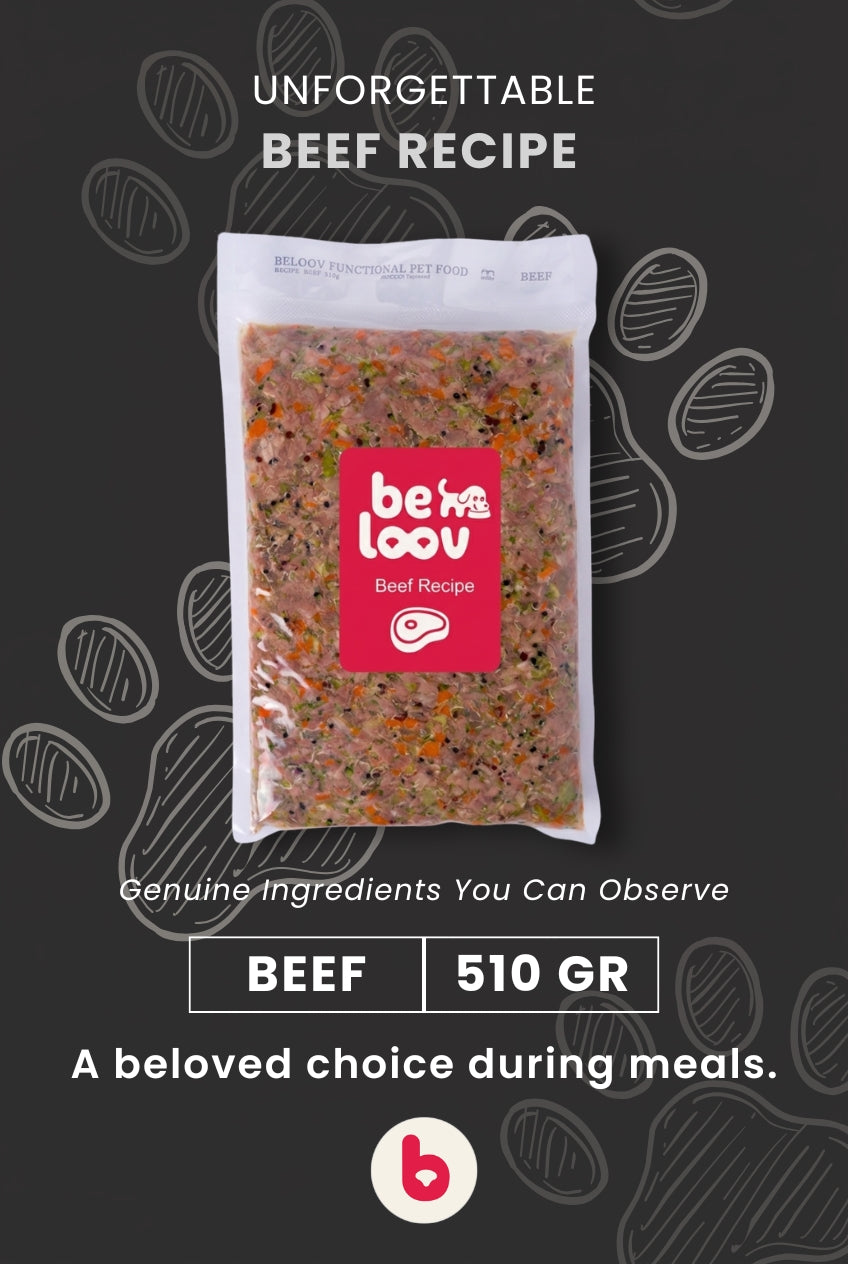 Beef Recipe