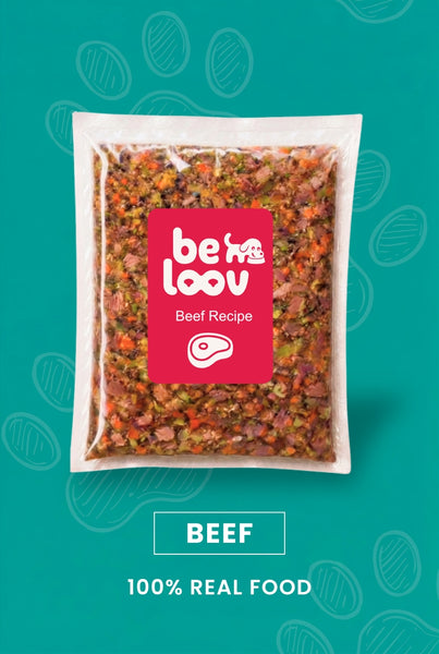 Beef Recipe