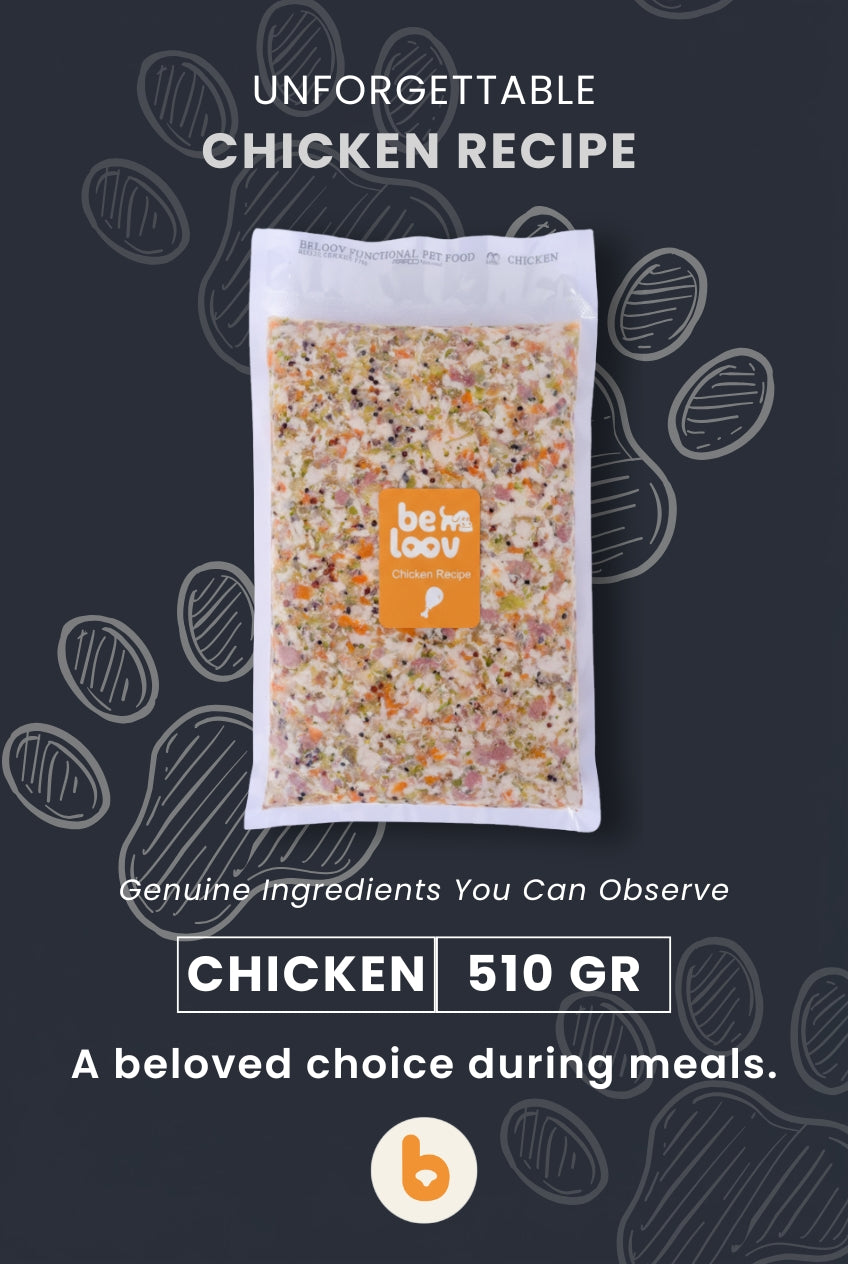 Chicken Recipe