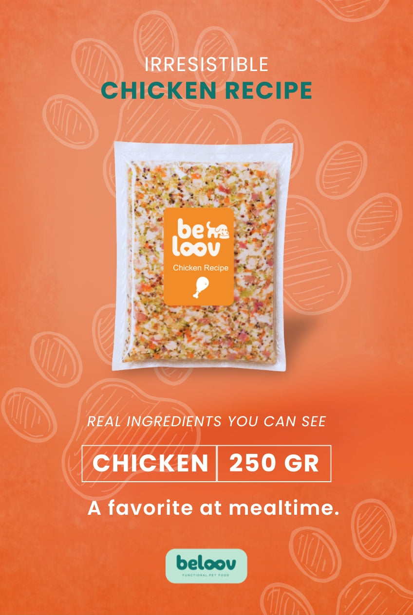 Chicken Recipe