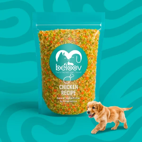 Recipe Chicken 510g